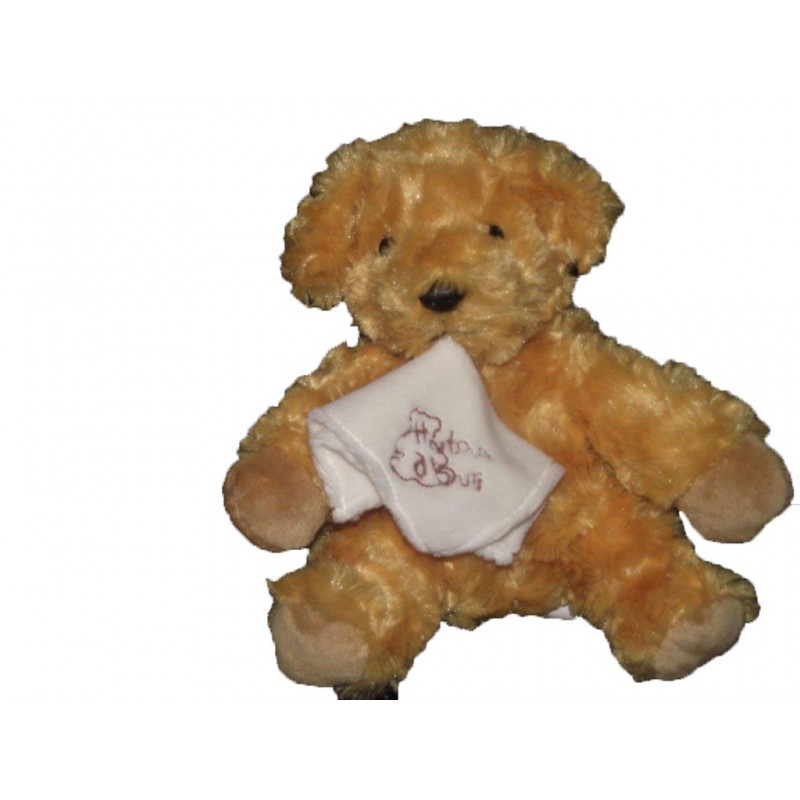 Accueil Histoire d'ours doudou Histoire d'ours Chien Marron tenant un mouchoir blanc HO1275 Pantin