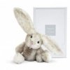 Accueil Histoire d'ours doudou Histoire d'ours Lapin Gris 27cms HO2735 Fluffy Pantin