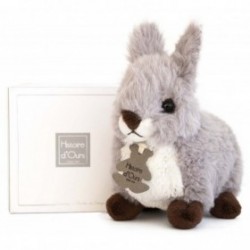 Accueil Histoire d'ours doudou Histoire d'ours Lapin Gris 18cms HO2540 Lapidoux Pantin