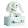 Accueil Histoire d'ours doudou Histoire d'ours Lapin Blanc dans sa valisette 17cms HO2641 Sweety Couture Pantin