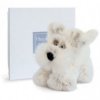 Accueil Histoire d'ours doudou Histoire d'ours Chien Blanc Scottish Les Softy Pantin