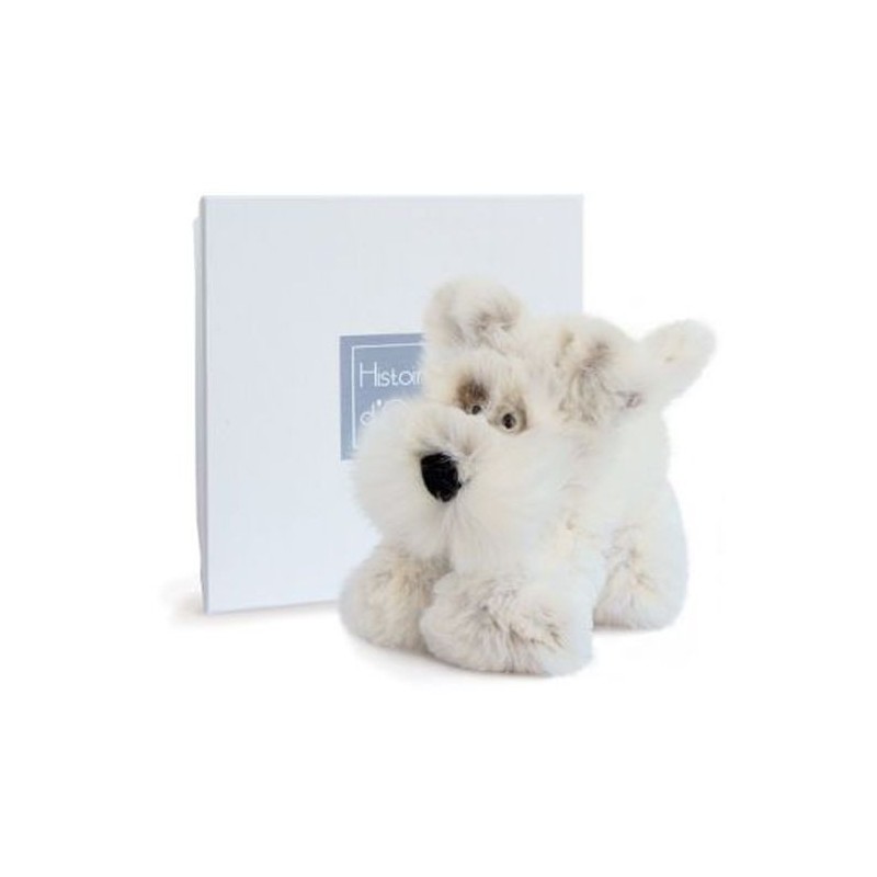 Accueil Histoire d'ours doudou Histoire d'ours Chien Blanc Scottish Les Softy Pantin