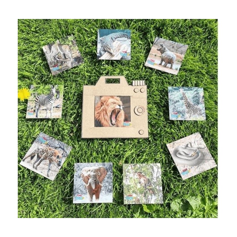 JJB  Set de 40 cartes d'apprentissages en Anglais Les cris des animaux