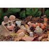 JJB  Yellow Door Animaux des bois Sensoriels