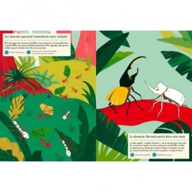 JJB Editions Amaterra Cahier d'activités Nature Dans la forêt tropicale