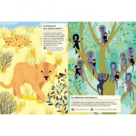 JJB Editions Amaterra Cahier d'activités Nature les animaux de la Savane