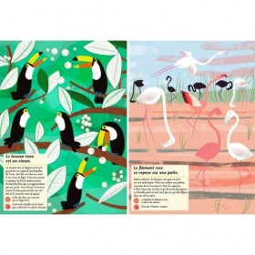 JJB Editions Amaterra Cahier d'activités Nature les oiseaux du monde