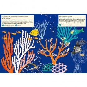 JJB Editions Amaterra Cahier d'activités Nature les animaux astucieux