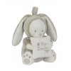 Accueil Nicotoy Doudou Nicotoy / Kitchoun Mon Doudou Lapin Laline marron 20 cms Coussin musical