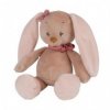 Accueil Nattou Doudou Nattou Lapin Beige Mini Pantin - 14 x 14 x 7 cm Sacha & Pauline